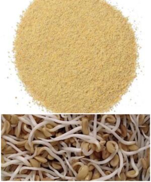 Sprouted Fenugreek Powder